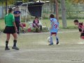 LVBF12F 079