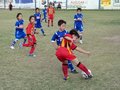 LVBF12F 179