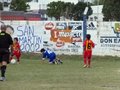 LVBF12F 208