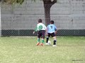 LVBF12F 133