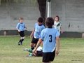LVBF12F 141