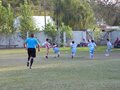 LVBF13F 079