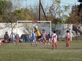 LVBF13F 086