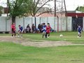 LVBF14F 076