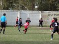 LVBF14F 021