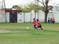 LVBF14F 079