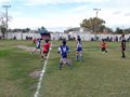 LVBF14F 054