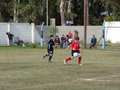 LVBF14F 023