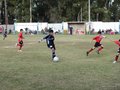 LVBF14F 031
