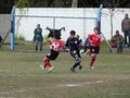 LVBF14F 041