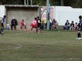 LVBF14F 016