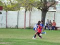 LVBF14F 089