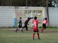 LVBF14F 044