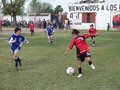 LVBF14F 051