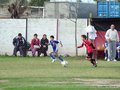 LVBF14F 088
