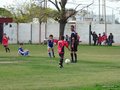 LVBF14F 077