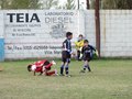 LVBF14F 028