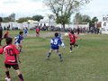 LVBF14F 053