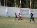 LVBF14F 012