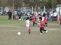 LVBF15F 015