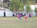 LVBF15F 091