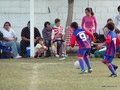 LVBF15F 087