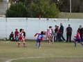 LVBF15F 089
