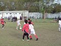 LVBF15F 018