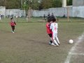 LVBF15F 017