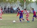 LVBF15F 097
