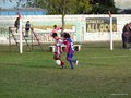 LVBF15F 099