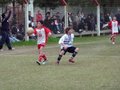 LVBF16F 081