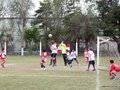LVBF16F 031