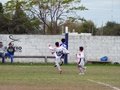 LVBF16F 012