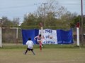 LVBF16F 046
