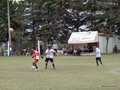 LVBF16F 059