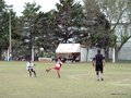 LVBF16F 033