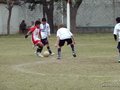 LVBF16F 062