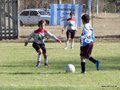 LVBF18F 048