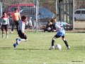 LVBF18F 047