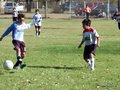 LVBF18F 040