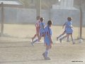 LVBF19F 045