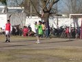 LVBF19F 080