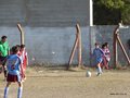 LVBF19F 043
