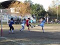 LVBF19F 065