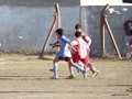 LVBF19F 042