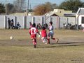 LVBF19F 094