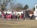 LVBF19F 083