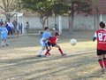 LVBF19F 077