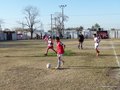 LVBF19F 109
